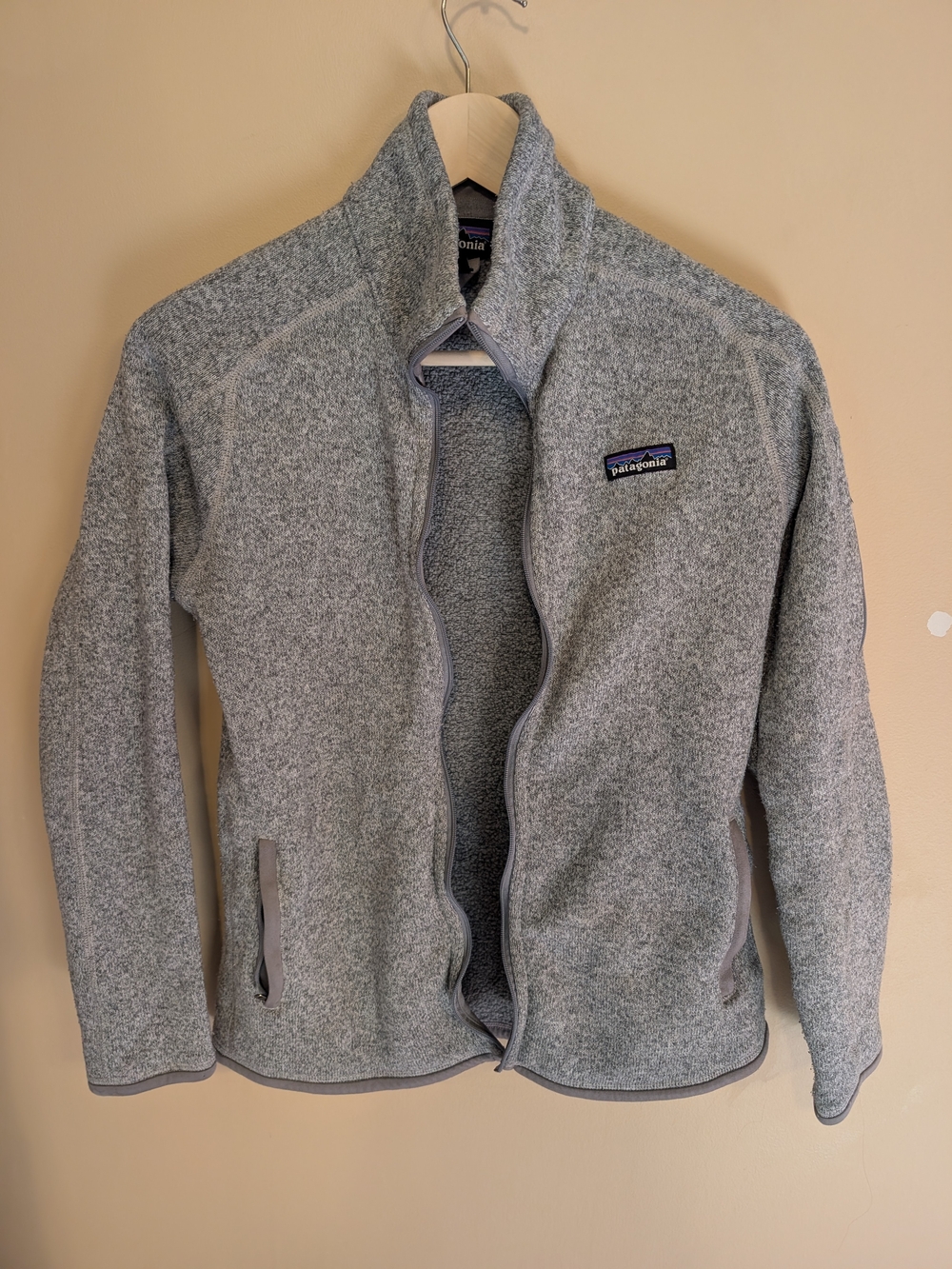 Patagonia Light Gray Men's Full-Zip Performance Fleece Jacket